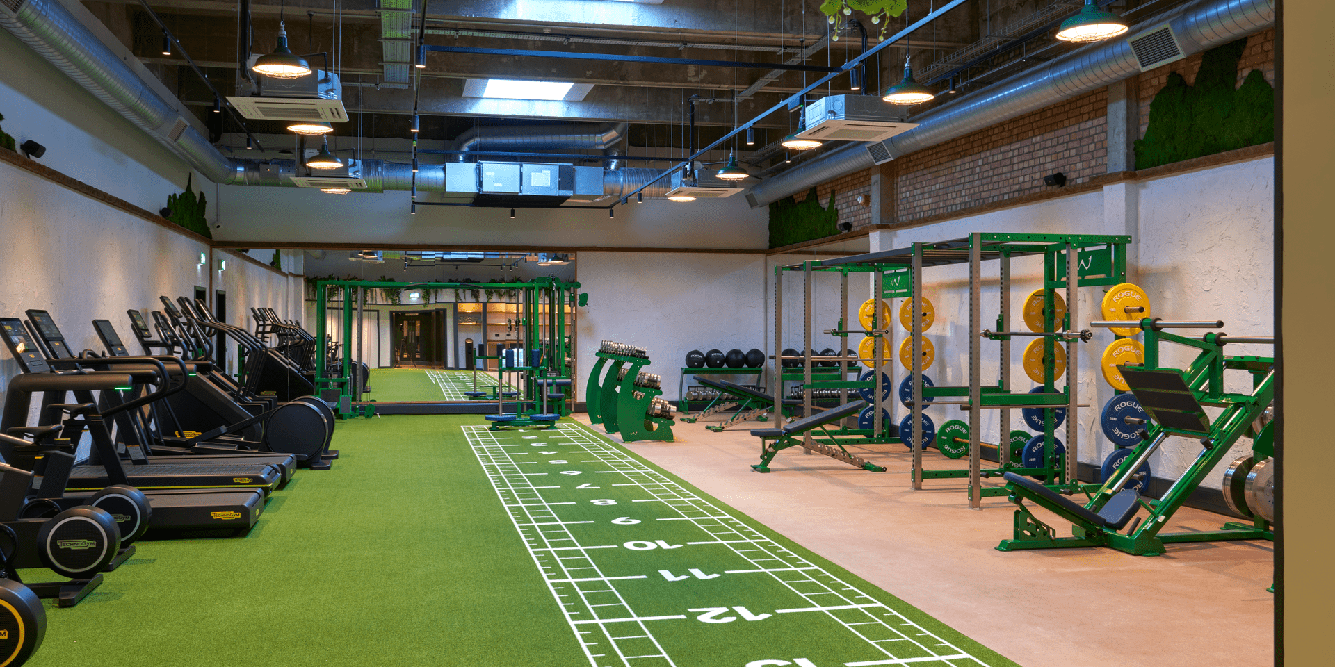 The Playground Gym
