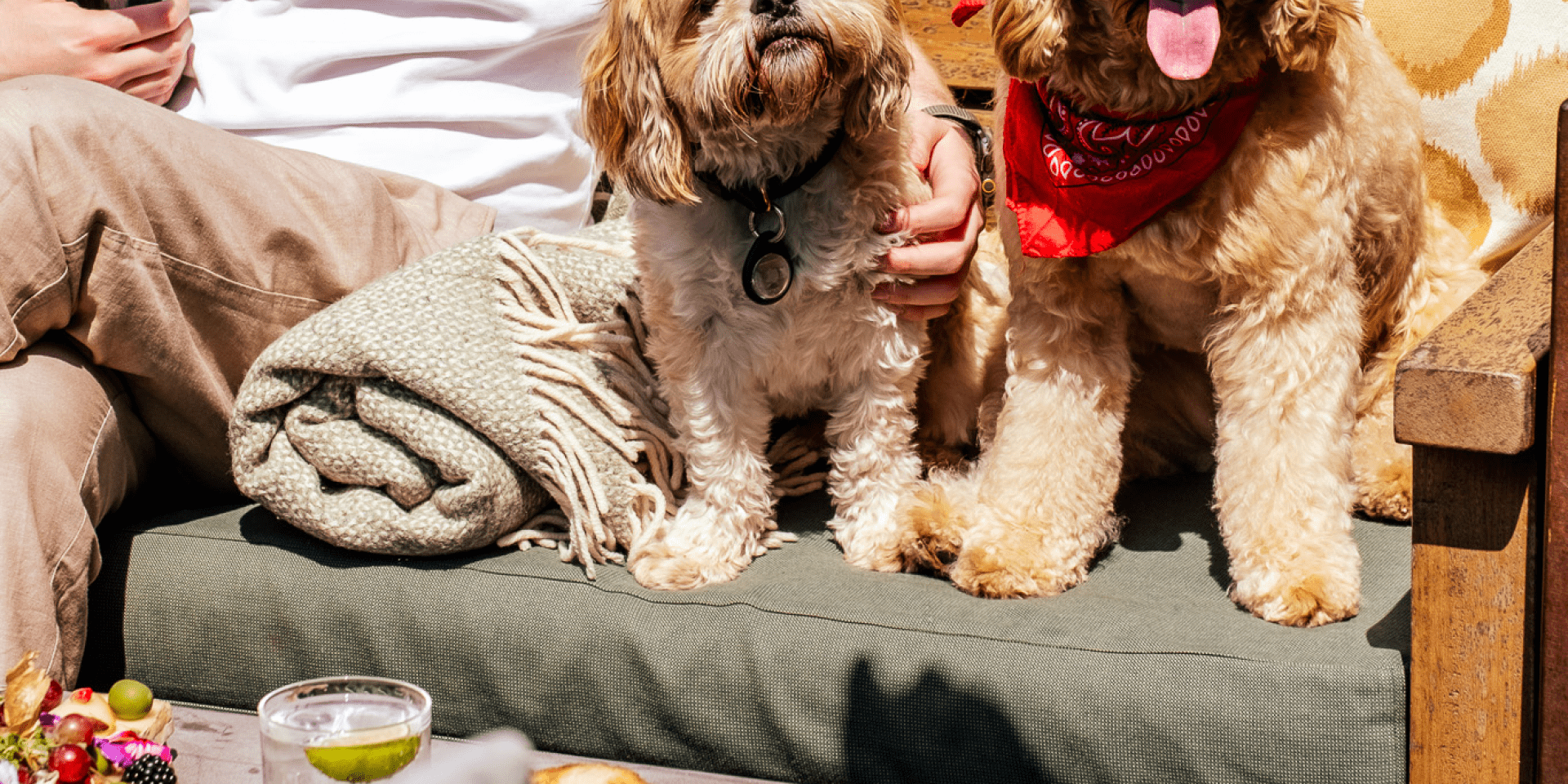 a man sitting at an outside restaurant on the roof with three dogs