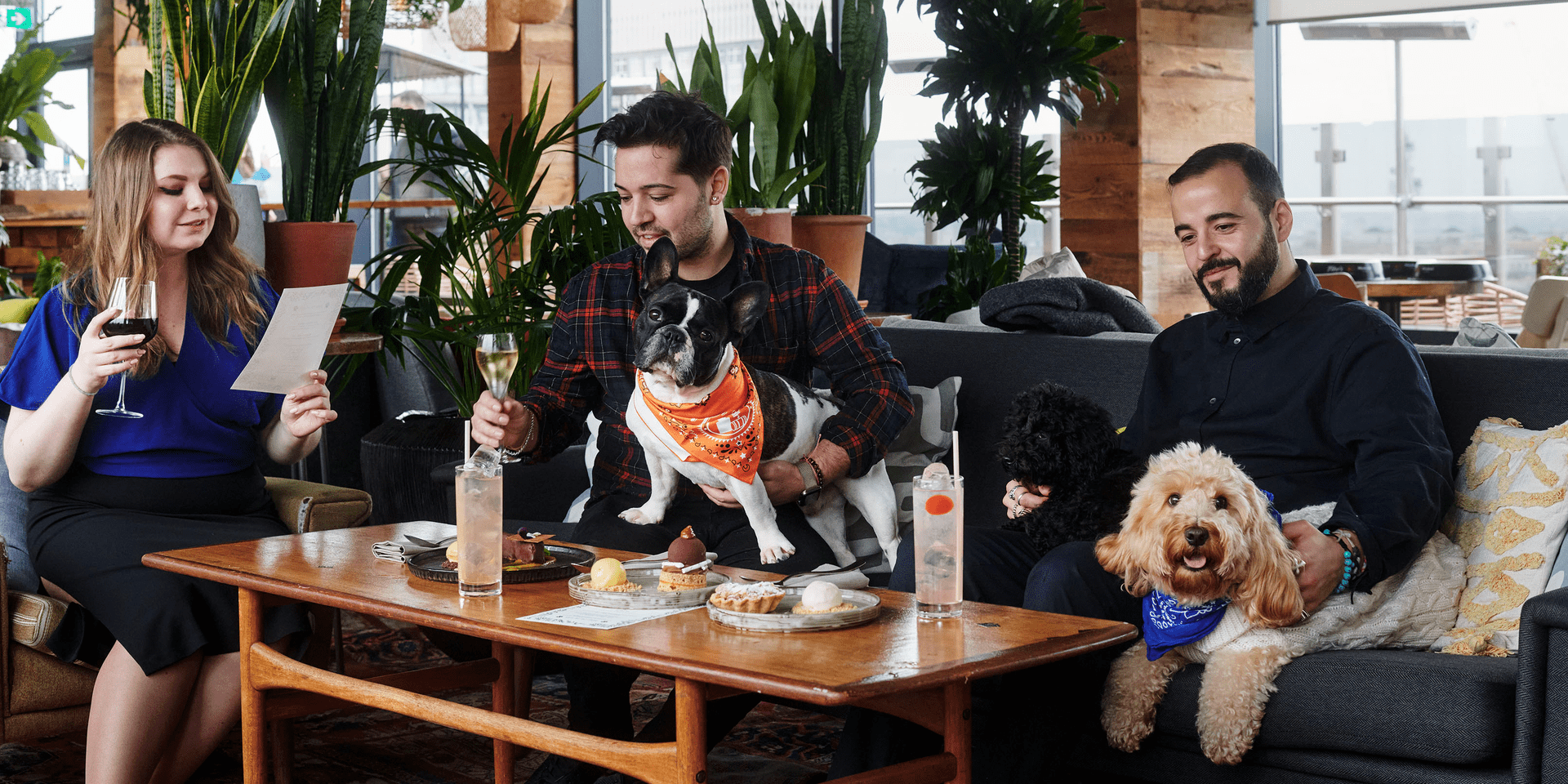 Dogs on the woof at the nest in treehouse london 