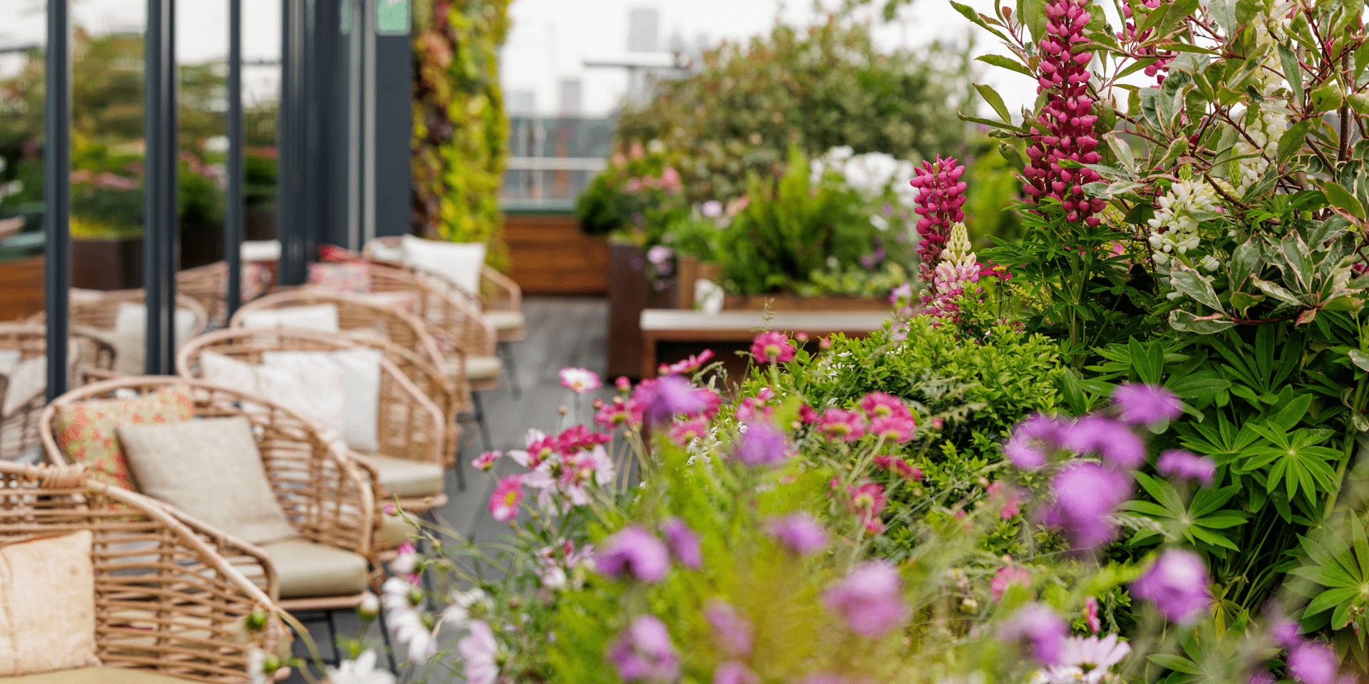 The Nest in Treehouse London