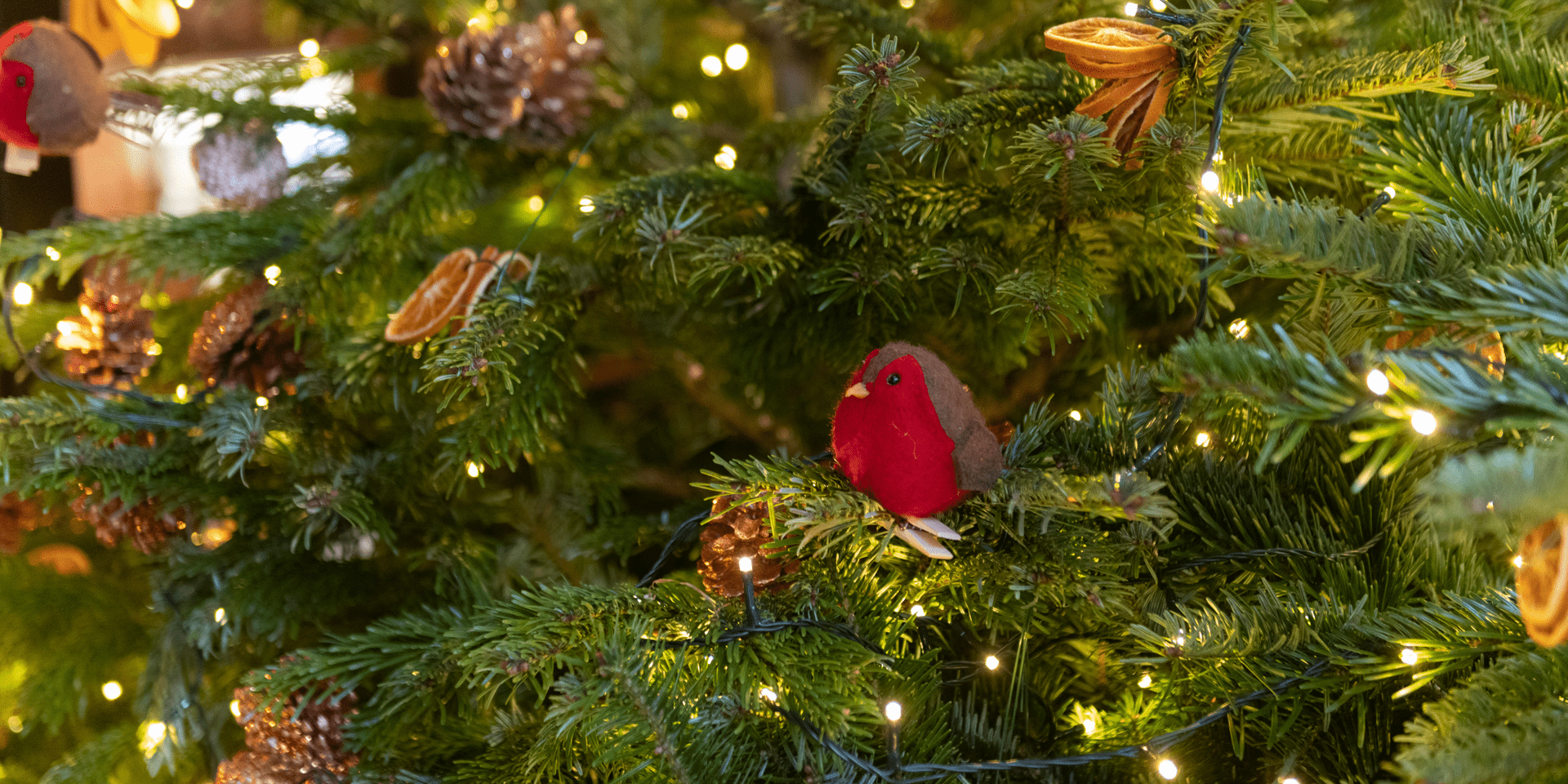 Treehouse Christmas