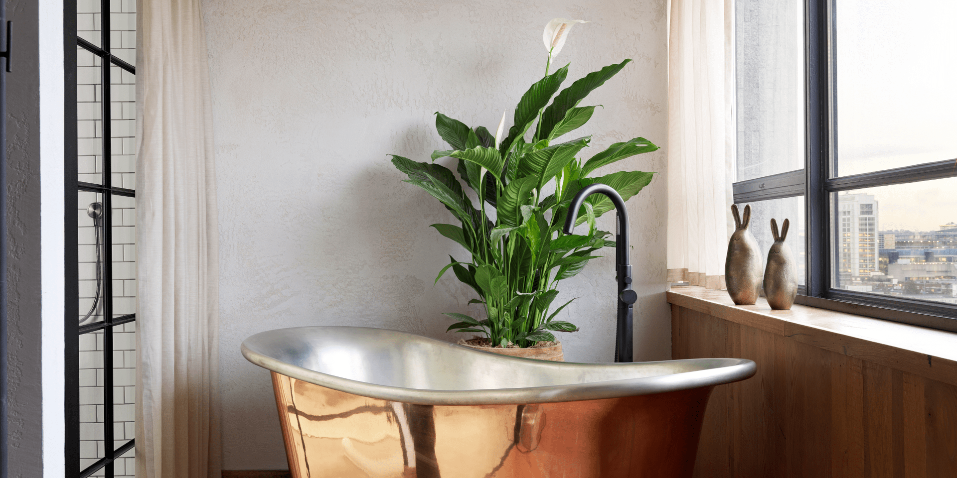 bathtub next to a window with a plant behind it
