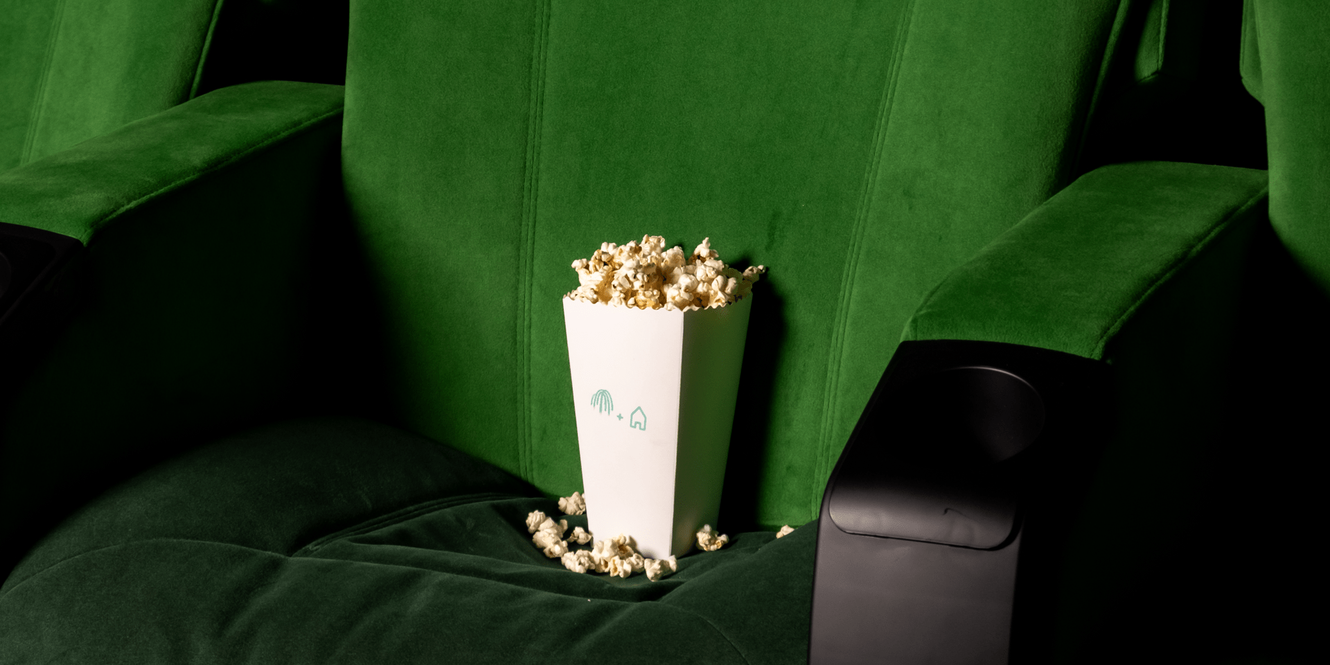 Flix Screening Room