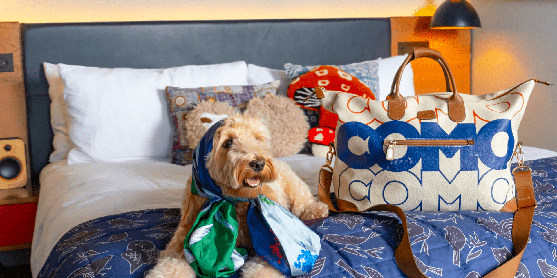 A dog with a scarf around its head poses next to a travel bag on a bed
