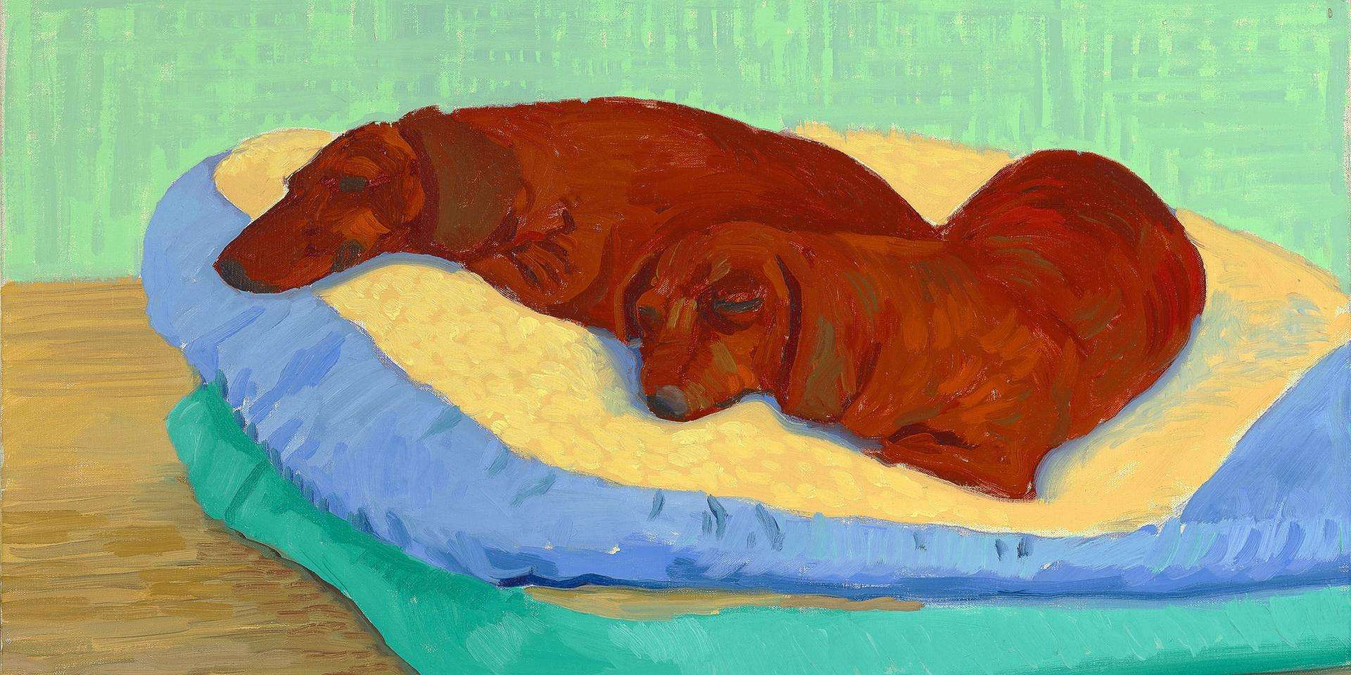 David Hockney"Dog Painting 19" 1995Oil on canvas18 1/4 x 25 3/4"© David HockneyPhoto Credit: Richard SchmidtCollection The David Hockney Foundation