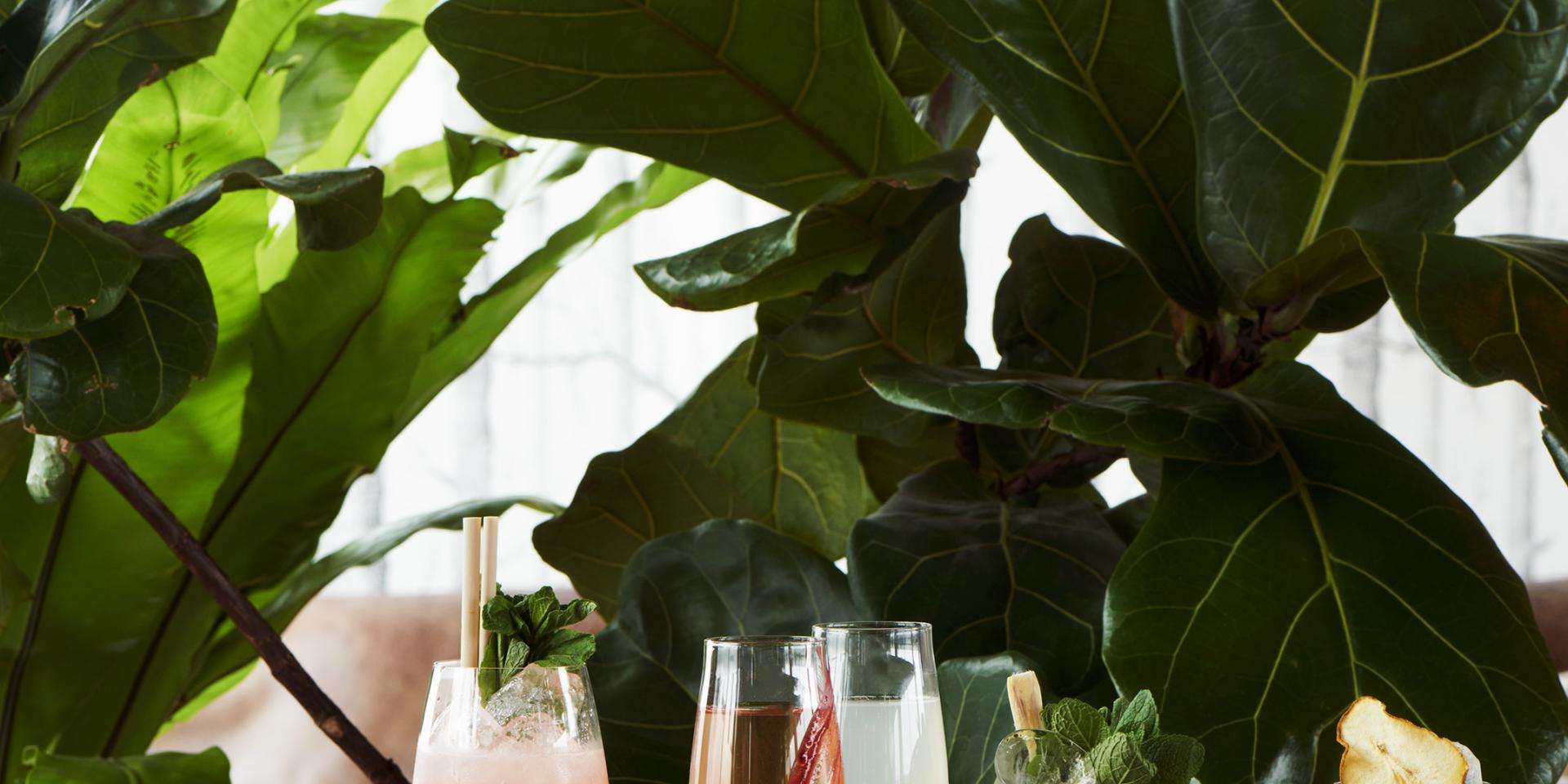 Spring Cocktails